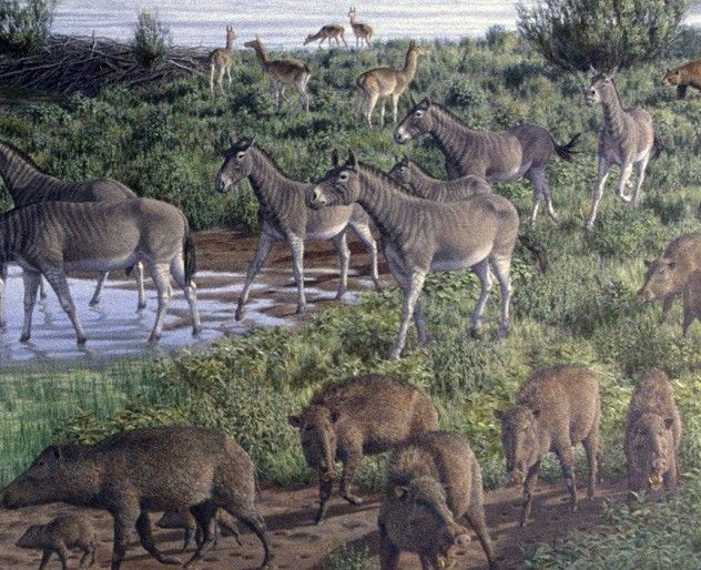 Gigantic Fauna
