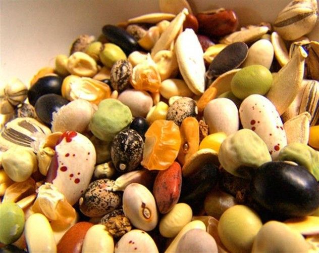 seeds