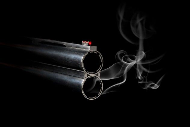 gun