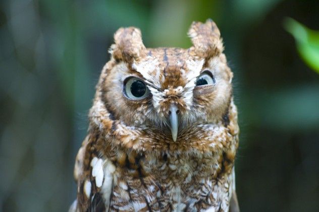 angry
