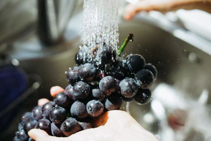 A person rinsing grapes under running water