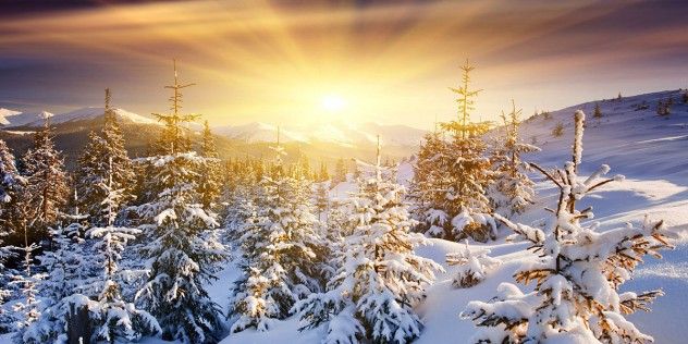Winter-Sun-l