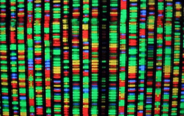 1609411-human-genome-museum