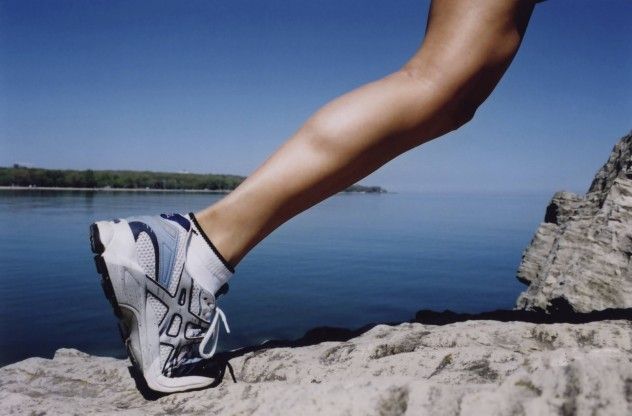Foot