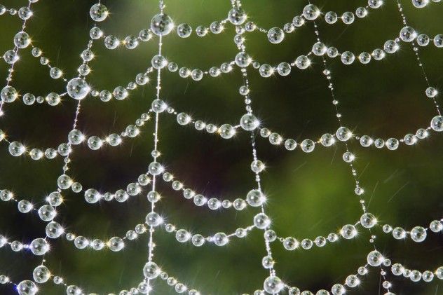 web