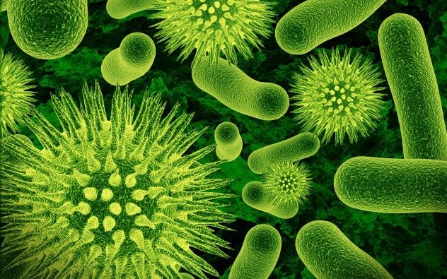 cellular-virus-high-definition-high