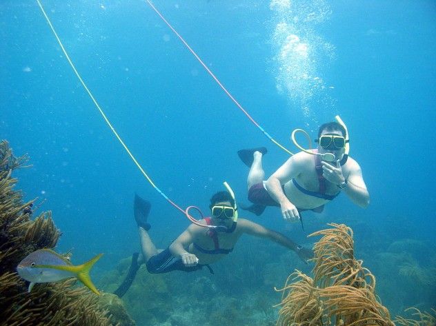Snuba_divers_underwater