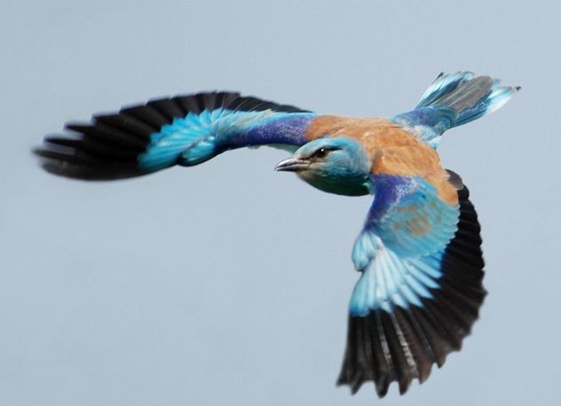 Screen Shot 2013-06-13 At 7:36:49 AM