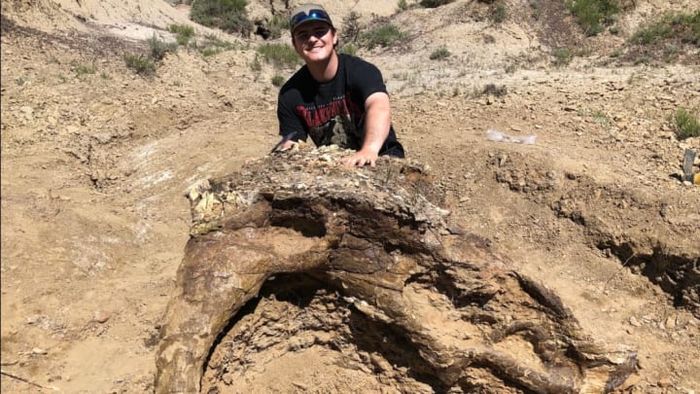 Harrison Duran stands with a partial triceratops skull.