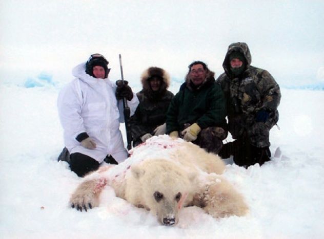 Bear-Hybrid-Photo