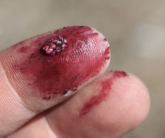 Cochineal-Crushed