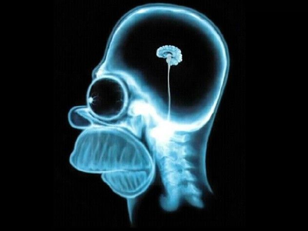 Intelligence