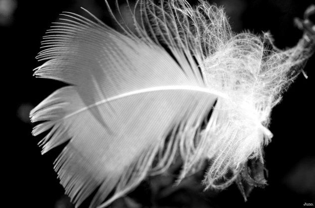 The Unbearable Lightness Of Being By Junoejuno-D4Qddw4