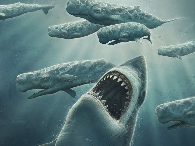 Megalodon-Out-Of-Blue