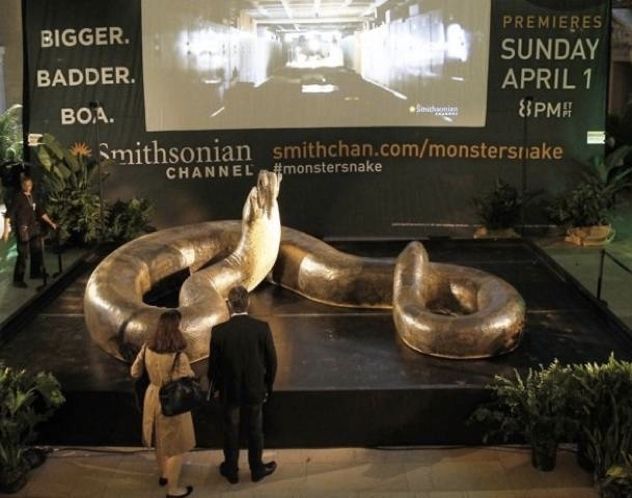 91040654-Titanoboa-Snake