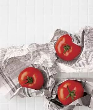 Tomatoes in Newspaper
