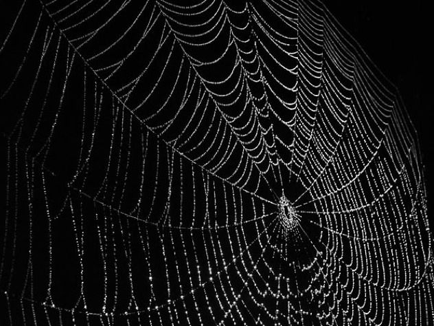 Web1