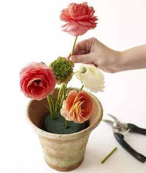 Gently press the ranunculus into the floral foam