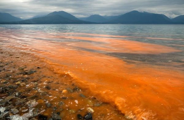 Hab-Red-Tide