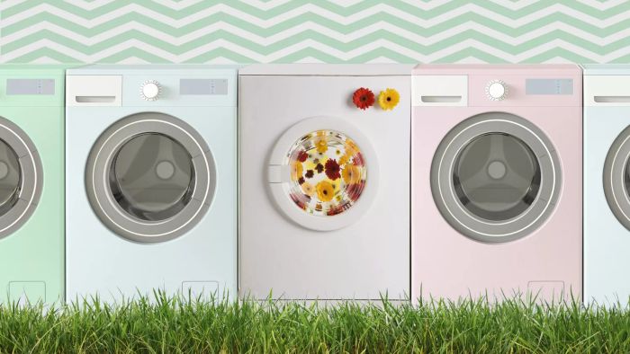 Eco-Friendly Laundry Tips for Vibrant Clothes and Chemical-Free Machines