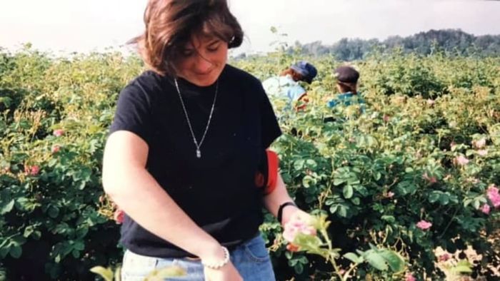 Jodi Wilson harvests roses for distillation while studying at the Roure Perfumery School (now the Givaudan Perfumery School) in Grasse, France, during the 1991-92 academic year.