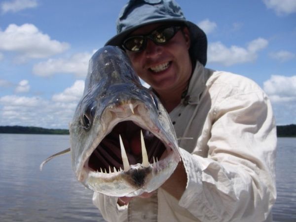 Payara 1