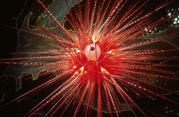 Red-Sea-Urchin