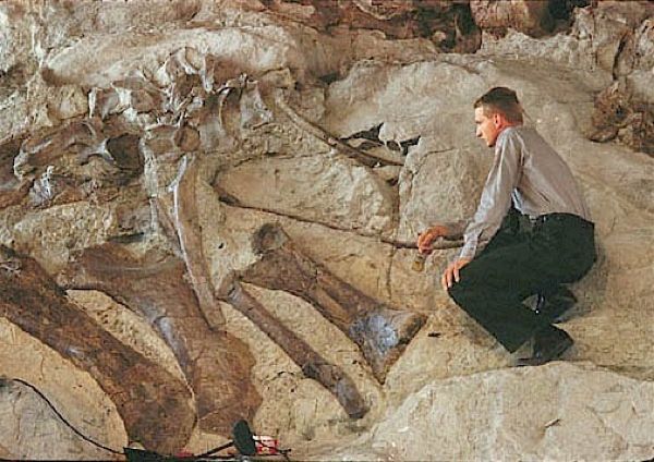 Dinosaur3251A