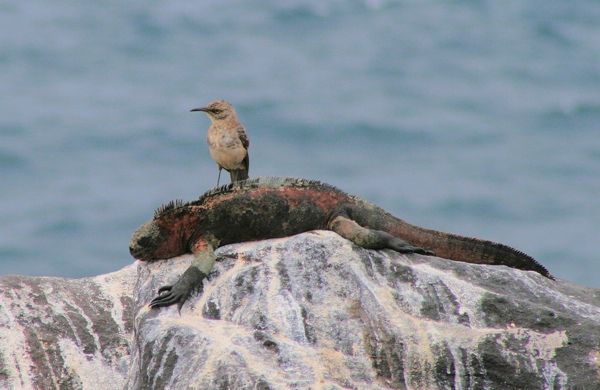 Screen Shot 2013-02-10 At 3.00.23 Pm