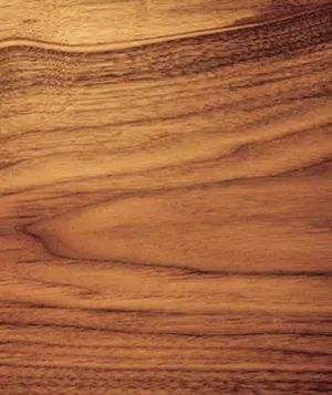 Color of Walnut Wood