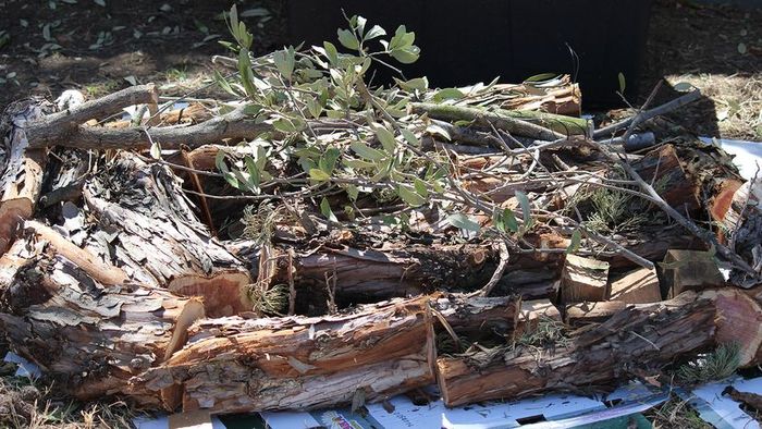 Close-up view of decaying wood and plant roots within a hugelkultur mound.