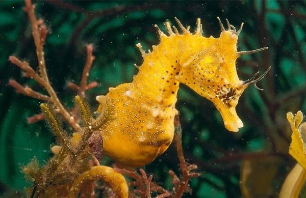 052 Livingnatureisbeasts 181108 Go2Loadcom
