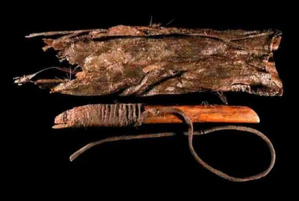 Hand Tool