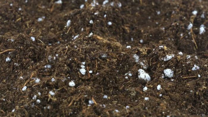 nutrient-rich potting soil