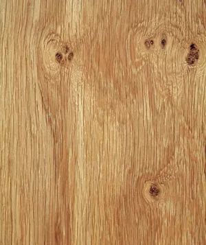 Color of Oak Wood