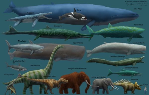 Megafauna Size Comparison Mk2 By Harry The Fox-D2Xt9Nb