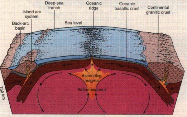 Url-5