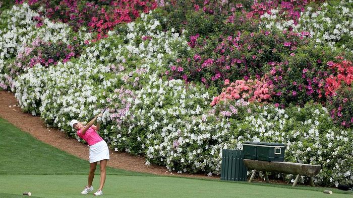 Azaleas brighten the fairways at the Masters.