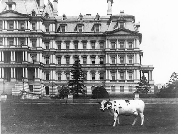 Taft