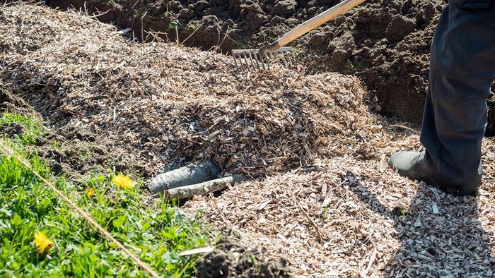 A hugelkultur raised bed being smoothed out with a rake.