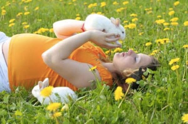 Rabbit-Pregnancy-1