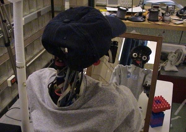 Robot-In-Mirror