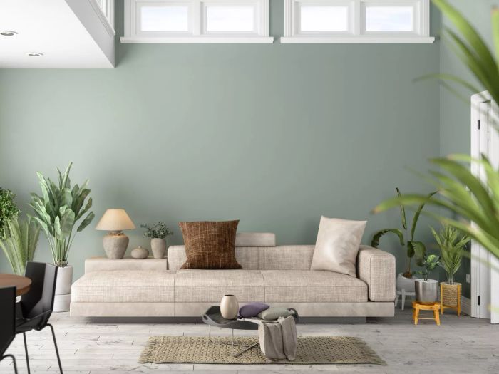 Contemporary Living Room Featuring Greenery, a Sofa, and a Green Wall as the Backdrop