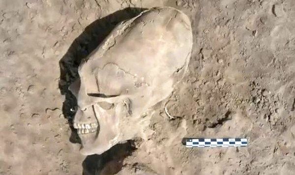 Alien-Like Skulls