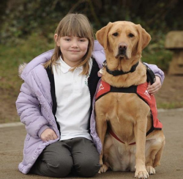 Diabetes Alert Dogs