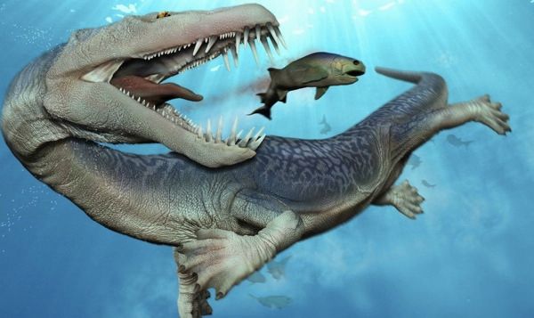 Nothosaurus