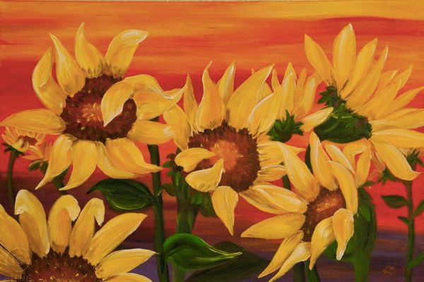 Sunflower-Sunset