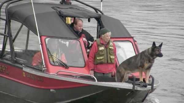 Dogs detecting drowned bodies
