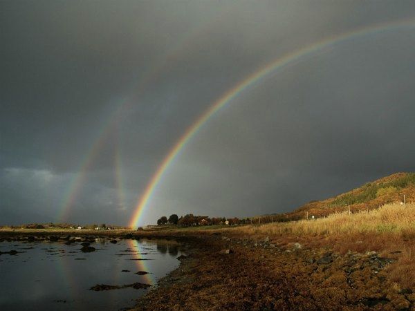 Sixrainbows Nordvik Big
