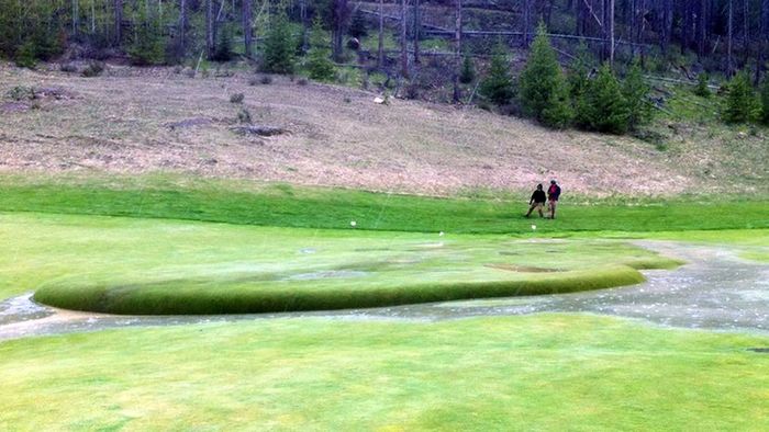 Lawn bubbles on a golf course